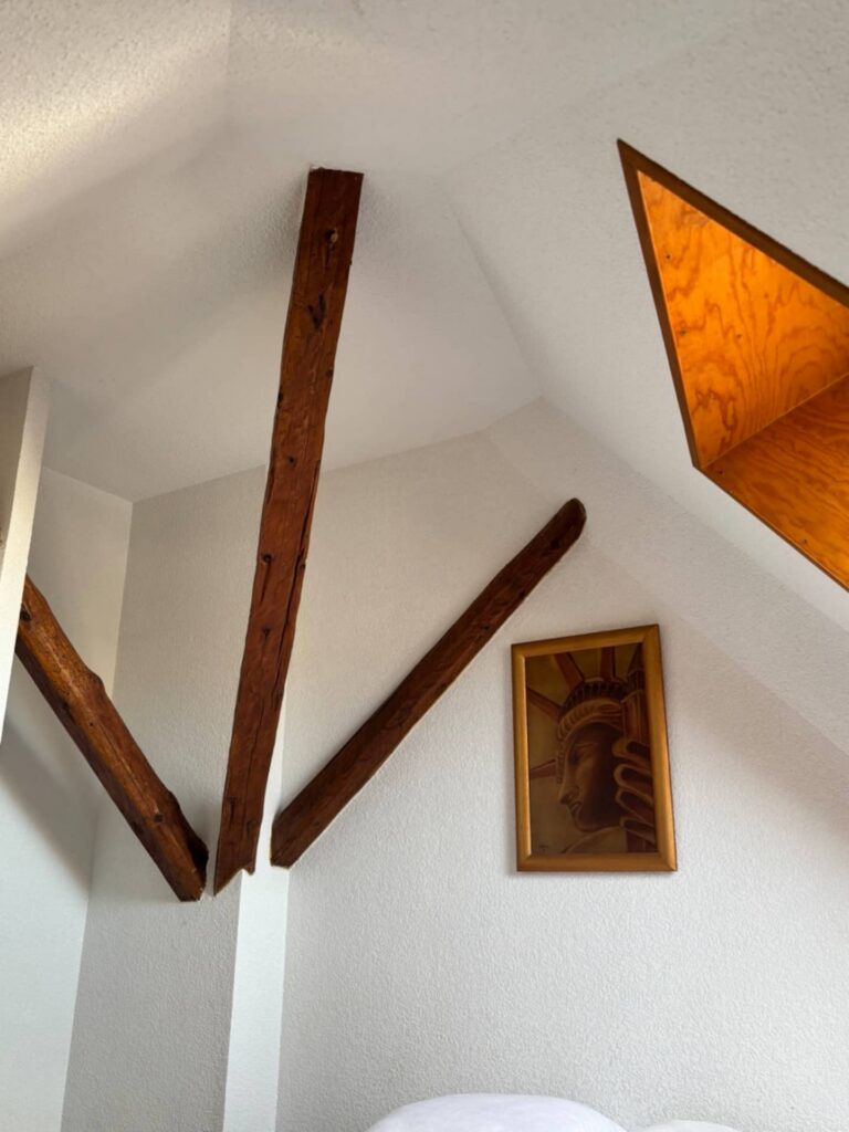 Duplex de Villard à Villard-de-Lans — Pièces de vie