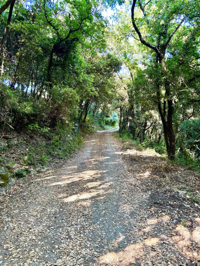 La Villa Crusoé à Viviers — Extérieurs