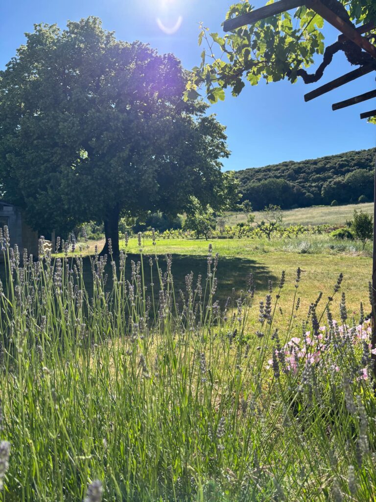 La Villa Crusoé à Viviers — Extérieurs